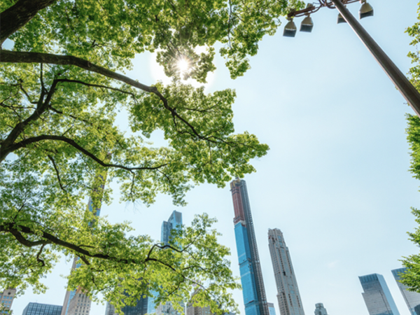 New York launches NYSERDA Commercial & Industrial Accelerated Efficiency Program